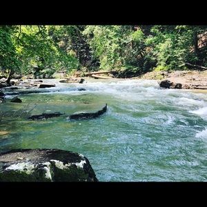 Meet your Posher, Darci